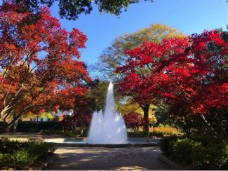 Herty Field